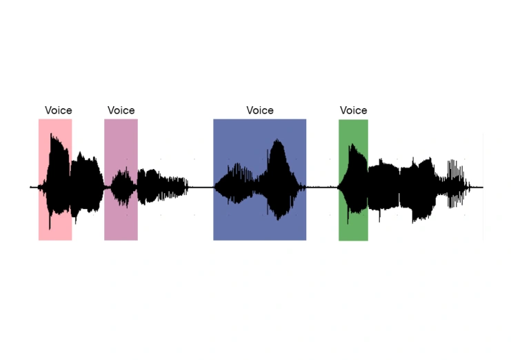Speech Annotation