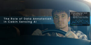 Human-in-the-Loop AI powering safer cabin sensing systems.